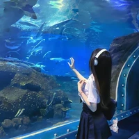 Triệu Thư Dương