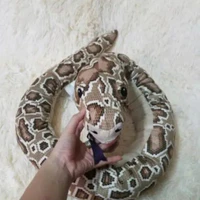 nhỏ t/g nò🤡