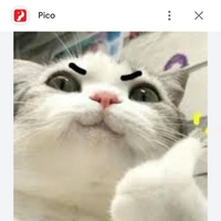 tác giả 