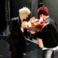 Ánh dương và hoa hồng 🌹 