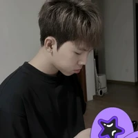 Hữu Đạt ( Phoenix )