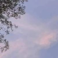 hệ thống ánh tàn đêm