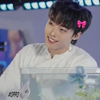 Đỗ Hải Đăng- Hải Đăng Doo