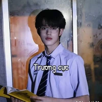 cực