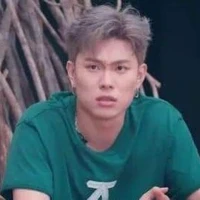 dương domino