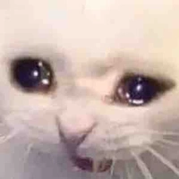 Ry t/g hay khóc :<