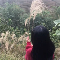 tg iu dh