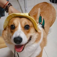 Bobo