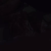 t/g