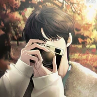 nvp nam