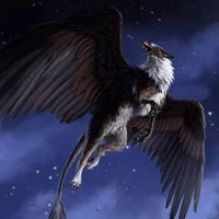 Griffin