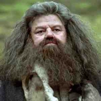 Rubeus Hagrid 