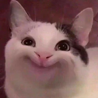 T/g 👉🏻👈🏻