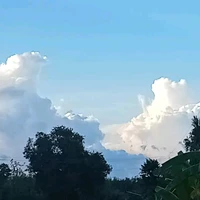 nhóm báo