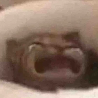 🫶