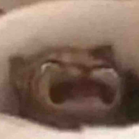 🫶