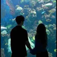 Mọi người trừ ai thì trừ 