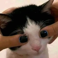 tác giả cuti số 1 vũ trụ thế giới Manga