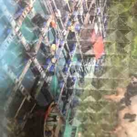 Tiết phụ