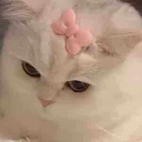 All trừ ai thì trừ 