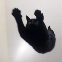 ???