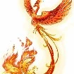 phượng hoàng lửa ( hỏa)