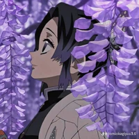 Shinobu ( hồng cô cô )