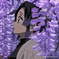 Shinobu ( hồng cô cô )