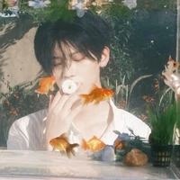 Ngũ Thiếu - Phong