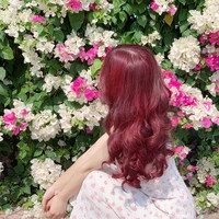 Lê Vy (Ny Jsol/LennyTv)