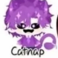 catnap