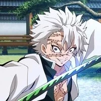 shinazugawa sanemi ( phong trụ)