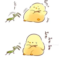 NVP