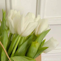 t/g 🌷