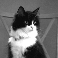 TINH CẦU MÃ HIỆU 128/HẮC NGUYỆT