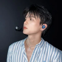 Phạm Đình Thái Ngân