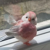 Pinky of Haruchiyo