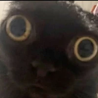 Nhi đẹp trai skibidi híphóp chồng mấy em