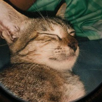 T/g mới vô nghề