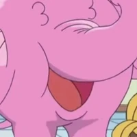 paopao