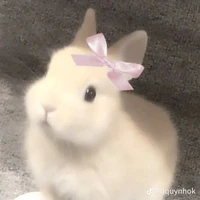 t/g bun