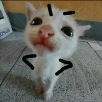 Tác giả đây
