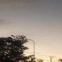con mồm lèo biết bay