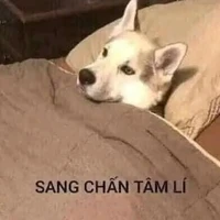 tg lười:>>>>>>>>>>>>>>>>>>>>>>>>>>>>>