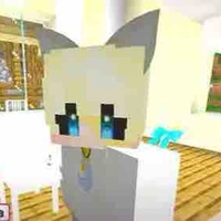 Hiha_Anticatnap