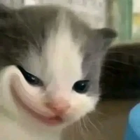 kon t/g