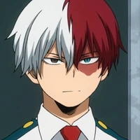 shoto todoroki