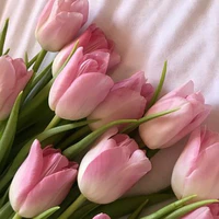 Tớ là tác giả ạ