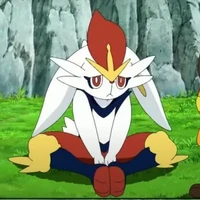 tác giả bị bệnh lười