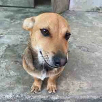 Nv bất kì